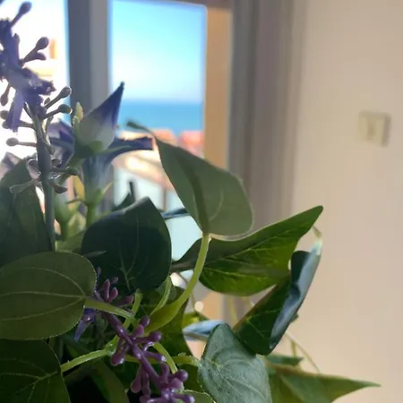 A Casa Cosi Bed & Breakfast Marzocca di Senigallia