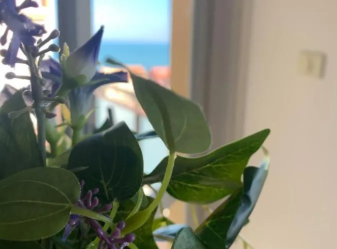 A Casa Cosi Bed and breakfast Marzocca di Senigallia